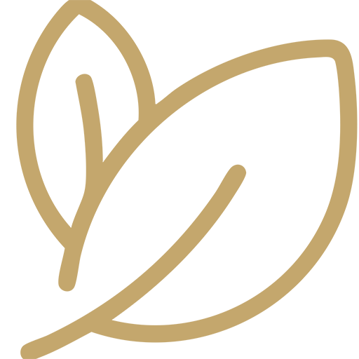 Pflanze Gold Icon